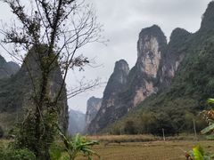 -明仕田园
