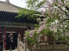 -红螺寺