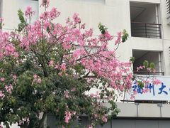 -福州大学(旗山校区)