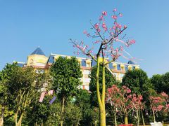 -广州花之恋城堡酒店