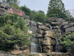 -铁山坪森林公园