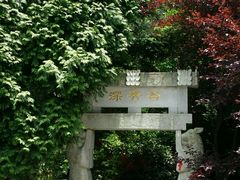 -四明山国家森林公园