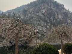 -金龙寺国家森林公园