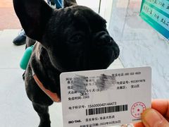 -畜牧兽医站(共江路店)