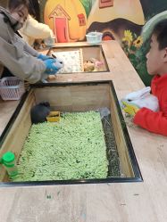 -神奇动物撸宠馆·羊驼·小浣熊·异宠(豫园店)