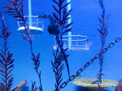 -上海海洋水族馆