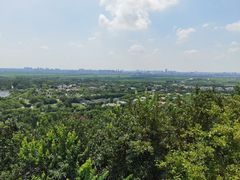 -上海佘山国家森林公园西佘山园