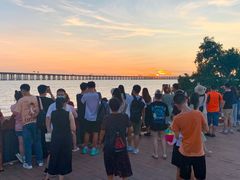 -宝安西湾红树林湿地公园