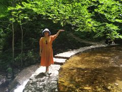 -青峰峡国家森林公园