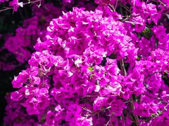 -云南师范大学(一二一西南联大校区)