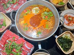 -老凯俚酸汤鱼(东山店)