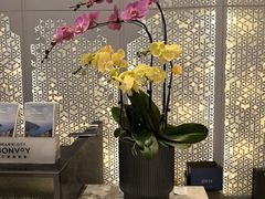 -上海宝华喜来登酒店·采悦轩中餐厅