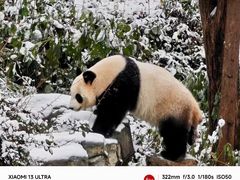 -红山森林动物园