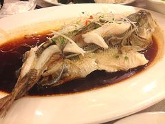 清蒸鲈鱼-华中科技大学百景园(三楼酒店)