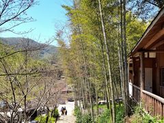 -宁波浙东大竹海景区