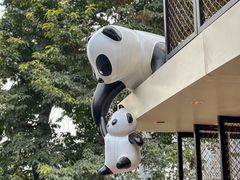 -嫩芽 ·地道重庆菜(十八梯露台夜景店)