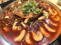 -庆合府重庆大排档(紫都城店)