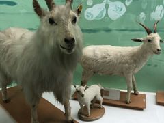 -国家自然博物馆