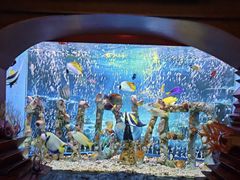 -太平洋海底世界