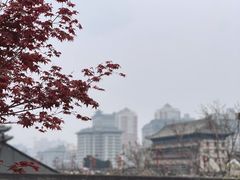 -西安城墙·碑林历史文化景区