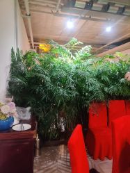 点击看大图 -特味村·宴会厅(生态园店)