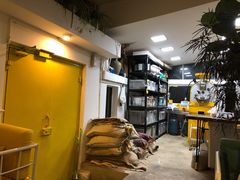 -唐咖精品咖啡(大理古城手冲店)