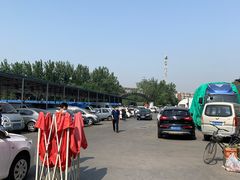 -何庄子阿米玛玛农产品批发市场