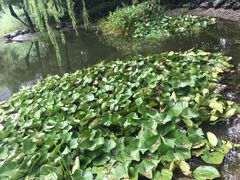 -木塔寺遗址生态公园