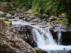 -瓦屋山景区