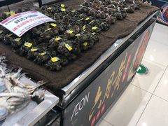 -AEON永旺超市(天津津南店)
