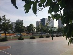 -辽宁省实验中学