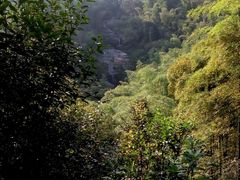 -山沟沟景区