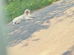 -大连森林动物园