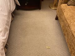 -深圳凯宾斯基酒店