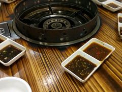 -鸭嘴鱼