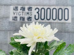 -侵华日军南京大屠杀遇难同胞纪念馆-停车场