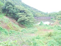 -大湾区中央湿地公园
