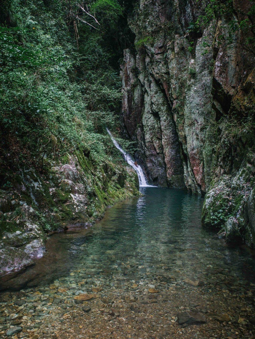 宁海桃花溪森林公园