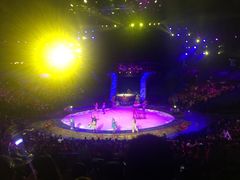 -珠海横琴长隆《卡卡虎奇遇记》