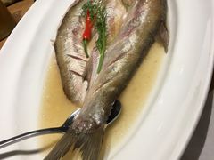 -香浙汇(望京店)