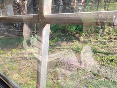 -香炉山国家森林公园
