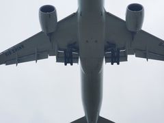 -空港花田景区