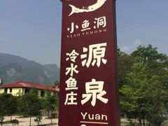 -源泉冷水鱼庄(小鱼洞店)