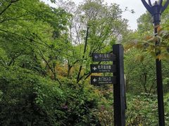 -南山植物园