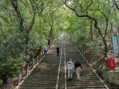 -上海佘山国家森林公园西佘山园