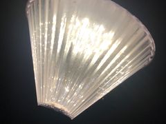 -北京群众马术培训基地