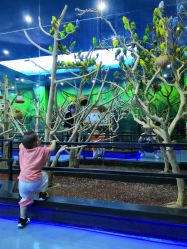 -未来动物城动物主题公园(大悦城店)