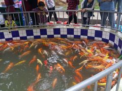 -广东茂名森林公园