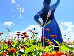 -哈尔滨大剧院