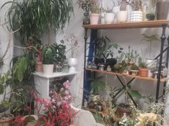 -卓花境Flowerwonderland花店